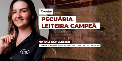 Brasil lidera ranking de produção de leite por vaca/ano com fazendas ocupando as duas primeiras colocações