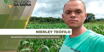 Janeiro com dois veranicos causou perdas no milho do Piauí