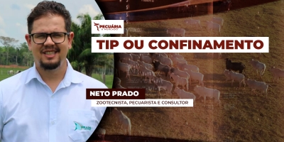Fatores definem a  melhor estratégia de intensificação da produção