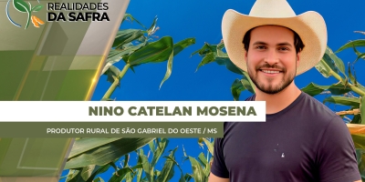Lavouras de milho estão se desenvolvendo bem em São Gabriel do Oeste/MS