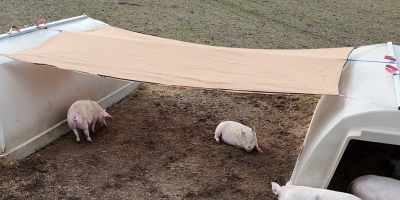 Novo sistema de sombreamento reduz estresse térmico e melhora desempenho de matrizes ao ar livre