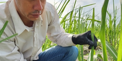 Indústria de bioinsumos amplia ações de controle de qualidade para sustentar crescimento do setor e promover maior eficiência no campo