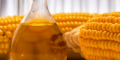 Com expansão das biorrefinarias no Brasil, produção de óleo de milho deve atingir 430 mil toneladas até o final de 2025