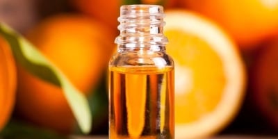 Após isenção para suco, EUA retiram parte dos subprodutos da laranja da tarifa de 40%