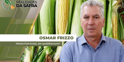 Colheita do milho deve se intensificar ao longo dessa semana em Querência/MT