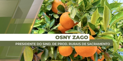 Entidades se unem para proteger laranjais do Triângulo Mineiro do greening