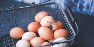 Infraestrutura e queda nos investimentos acendem alerta para o setor de ovos no Reino Unido