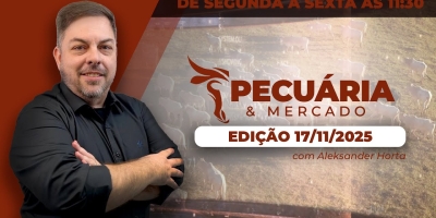 Redução de 10% no tarifaço e salvaguarda chinesa mexem com mercado do boi