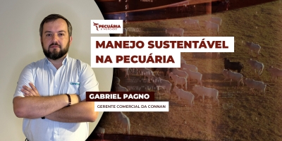 Sequestro de vacas de cria ganha força como estratégia de manejo durante a seca