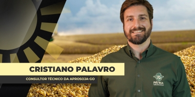 ENTREVISTA BOM DIA AGRO COM - Cristiano Palavro Consultor Técnico da Aprosoja-GO
