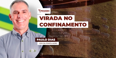 Sudeste supera Centro-Oeste no custo do confinamento