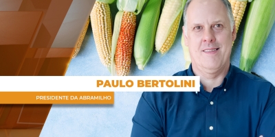 Tensões geopolíticas e acordos comerciais trazem apreensão para o milho brasileiro