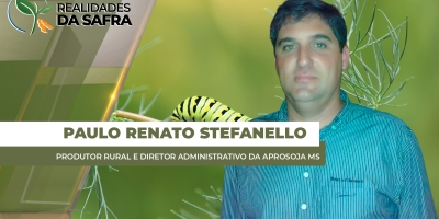 Sidrolândia/MS precisou fazer até seis aplicações contra lagartas na safrinha de milho