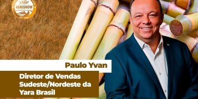 Colheita da nova safra de cana-de-açúcar começa com boas expectativas de produtividade