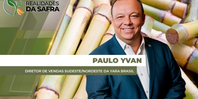 Colheita da nova safra de cana-de-açúcar começa com boas expectativas de produtividade