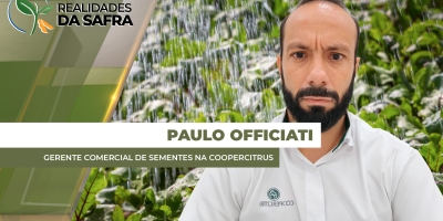 Região de Bebedouro/SP avança na colheita da soja esperando boa produtividade