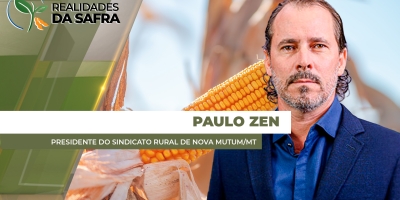 Colheita do milho deve começar na próxima semana em Nova Mutum/MT