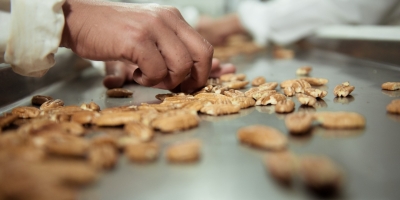 Divinut leva para a Expodireto perspectivas de super safra de noz-pecã e cenário da exportação