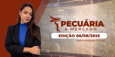 China adia decisão sobre salvaguardas à carne bovina e alivia pressão no mercado; sequestro de vacas pode ser alternativa durante a estiagem