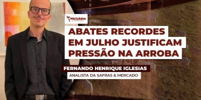 Julho registra o maior volume de abates de animais da história com 3,75 milhões de cabeças