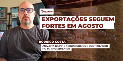 Depois do recorde em julho, primeiros seis dias de agosto também registram bom desempenho nas exportações, mesmo após tarifaço