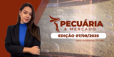 Preços da arroba apresentam novas altas diante das exportações recordes e demanda interna aquecida, preços do frango também avançam