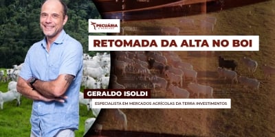Próxima semana será importante para monitorar o apetite de frigoríficos pelo boi gordo e o impacto nos preços da arroba