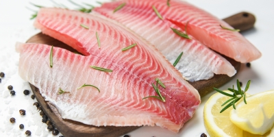 Peixe SP alerta para os perigos econômicos e sanitários da importação de tilápia do Vietnã