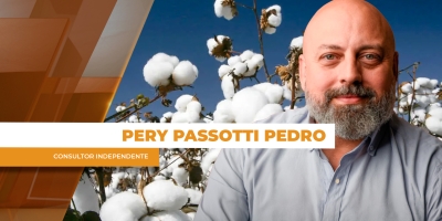 Algodão recua após valorização intensa, mas mercado futuro permanece atrativo em NY