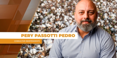 BA e MT iniciam colheita do algodão, com expectativas de boas produtividades