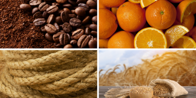 Mapa publica preços mínimos para café, laranja, sisal, trigo em grãos e semente de trigo da safra 2026/2027