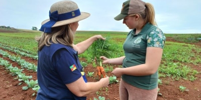 Plano Safra da Agricultura Familiar amplia crédito e Emater/RS-Ascar orienta produtores para acessar recursos