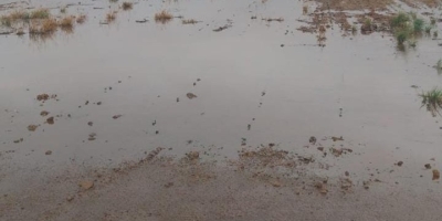 Chuvas intensas em Mato Grosso atrasam plantio e elevam riscos à produção do algodão