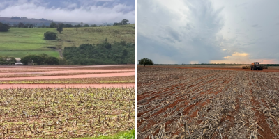 Do excesso à falta de água: plantio da soja 2026/27 avança em ritmos diferentes pelo Brasil