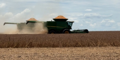 Polícia Civil de Mato Grosso indicia dois agricultores por estelionato
