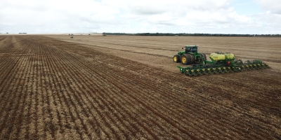 Excesso de chuvas preocupa produtores e impacta plantio do milho em Mato Grosso