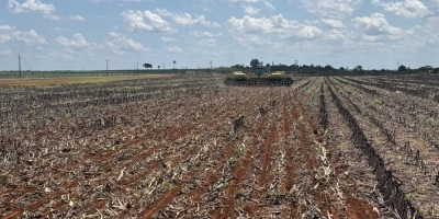 Umidade do solo em Mato Grosso segue abaixo da média histórica e preocupa para o avanço do plantio da soja, aponta EarthDaily