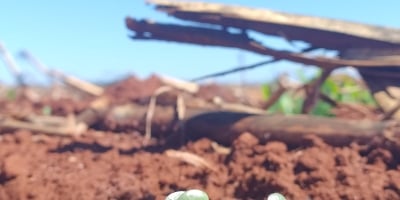 Plantio de Soja: Precisão hoje para produtividade e lucratividade amanhã