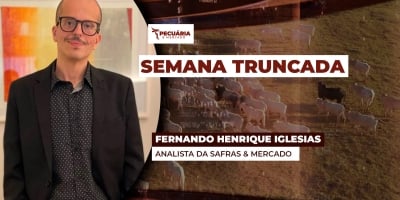 Com interesses distintos, frigoríficos e pecuarista não se entendem sobre preço da arroba e mercado do boi se acomoda