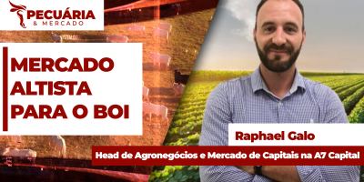 Em curto período, cotações para o mercado do boi melhoram e dão novo ânimo aos pecuaristas