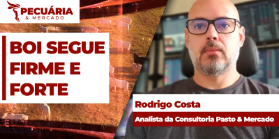 Oferta ajustada de animais e perspectiva de aumento no consumo de carne bovina fortalecem arroba futura