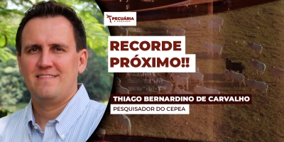 Arroba brasileira está prestes a atingir patamar histórico de 70 dólares no mercado internacional