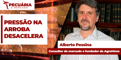 Movimento de pressão sobre arroba começa a desacelerar em busca de um piso para os preços, mas ainda é cedo para retomada da alta