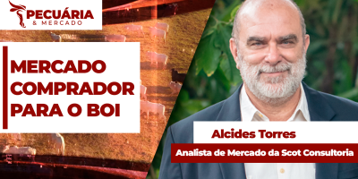 Equilíbrio entre oferta e demanda tem garantido preços firmes para arroba boi e tendência é de novas altas