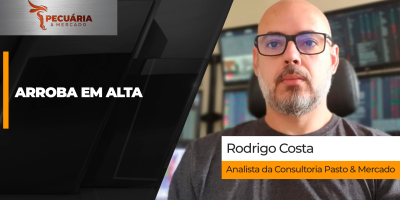 Cenário é de alta para arroba a partir de outubro com reforço das demandas e uma oferta controlada de animais
