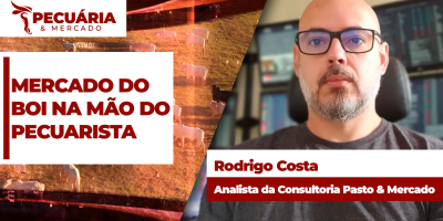 Agosto tem nova queda no abate com destaque para forte redução de fêmeas