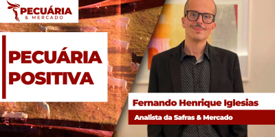 Arroba do boi para de cair e já sinaliza alta com  a chegada de  setembro