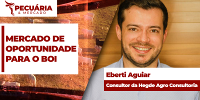 Boi Gordo: Mercado interno é firme e de oportunidades para que os pecuaristas defendam margens