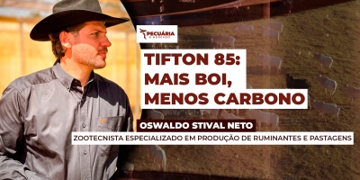 Pecuária sustentável: tecnologia brasileira promete até 7 cabeças/ha sem desmatamento