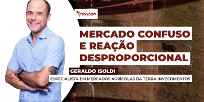 Conflito no Oriente Médio trouxe incertezas para o mercado do boi, mas fundamento seguem positivos para os preços